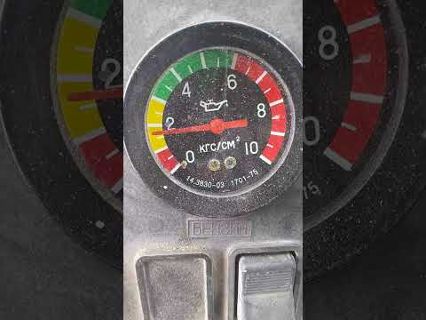 Видео: 24 октября 2025 г.