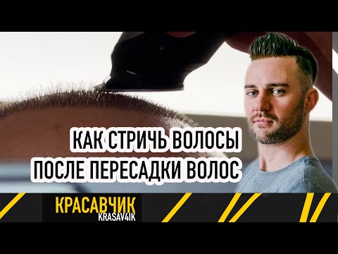 Видео: Как правильно стричь волосы после пересадки волос? / Красавчик