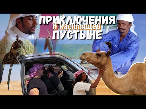 Видео: Как живут бедуины / Автостопом по Абу-Даби #путешествие #кузенвлог