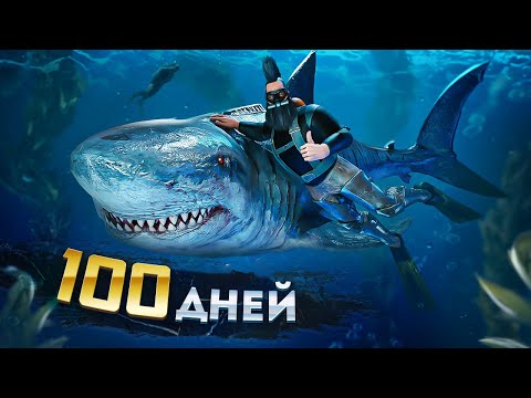 Видео: Мы ВЫЖИВАЛИ 100 ДНЕЙ что бы ВСЕХ ВЗОРВАТЬ в ARK Survival Ascended! ВЫЖИВАНИЕ в НОВОМ АРК Ascended!
