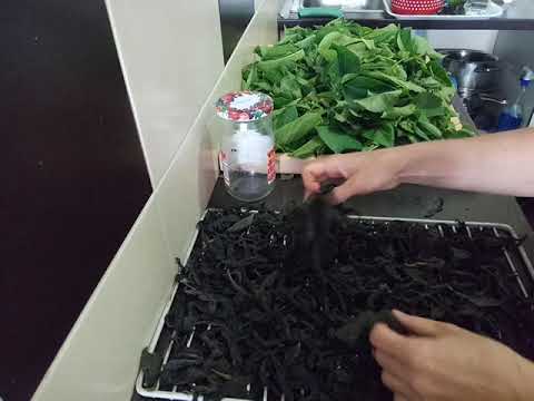 Видео: Ферментируем топинамбур, часть вторая.  Лечебная ванночка  для ног.