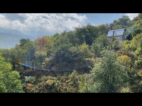 Видео: Дачный Влог Большая чистка - НАЧАЛО