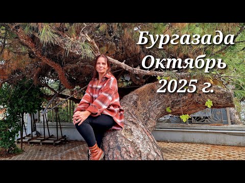 Видео: СТАМБУЛ. АДАЛАР. САМЫЙ КОЛОРИТНЫЙ ОСТРОВ! УВИДЕЛА И ЗАХОТЕЛА ОСТАТЬСЯ!