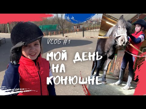 Видео: КОНОБЛОГ// Vlog#1. МОЙ ДЕНЬ НА КОНЮШНЕ