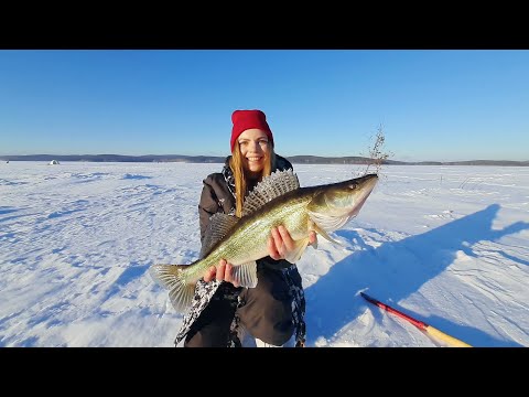 Видео: СУДАК НА ЖЕРЛИЦЫ. Подлещик. Озеро Исетское. Зимняя рыбалка с ночевкой.