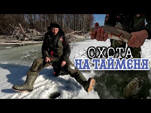 Видео: Горная рыбалка ранней весной, рыбалка со льда, ловля Тайменя на живца на  Дальнем Востоке.