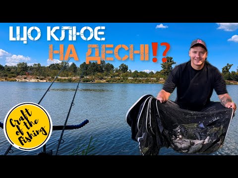Видео: Що зараз клює на ДЕСНІ⁉️Фідер в серпні на річці❗️Нічна риболовля