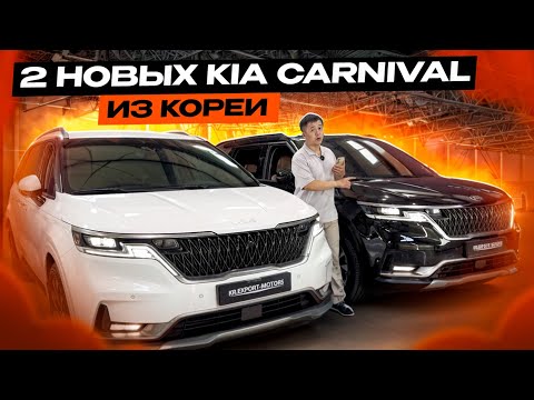 Видео: В ЭТОТ РАЗ 2 НОВЫЕ CARNIVAL! AВТО ИЗ КОРЕИ ДЛЯ КЛИЕНТОВ!