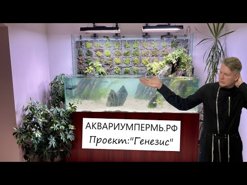 Видео: АКВАРИУМПЕРМЬ.РФ  - "Генезис" проект на 500 литров с надводной частью под дискусов