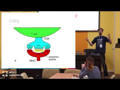 Видео: Анализ репертуаров иммунных рецепторов | Вадим Назаров