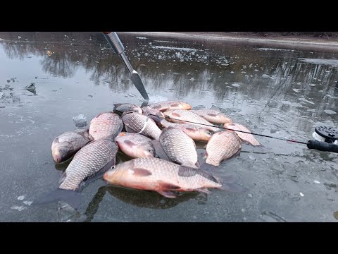 Видео: ПОПАЛИ на ранкову роздачу КАРАСЯ! Лютий МОРОЗ, а він клює! Зимова РИБАЛКА на карася!