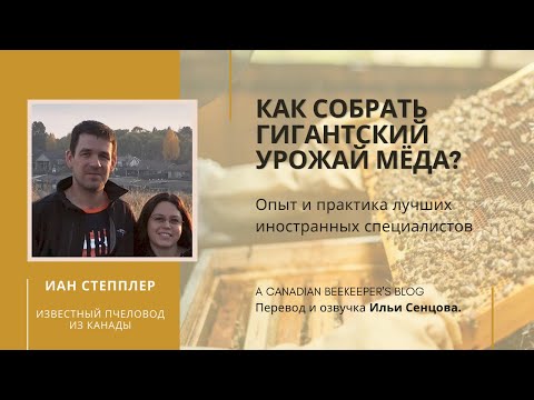 Видео: Как собрать гигантский урожай мёда? (Иан Степплер, Канада)