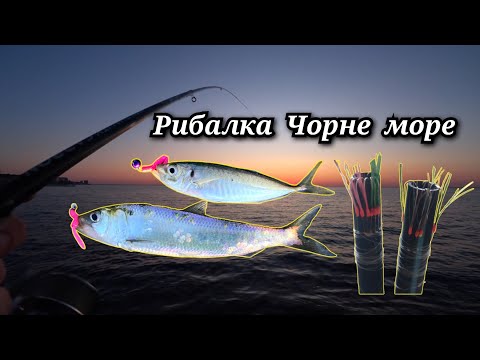 Видео: Рибалка на Ставріду та Оселедця.Ранкова рибалка декількох годин.