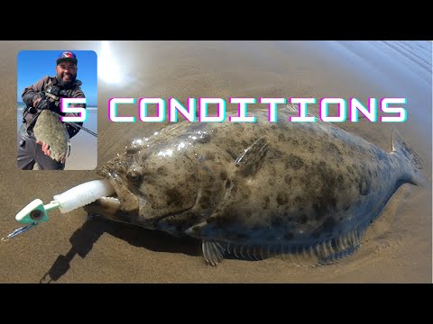Видео: Ловля палтуса в Калифорнии: 5 главных условий для успешной рыбалки!