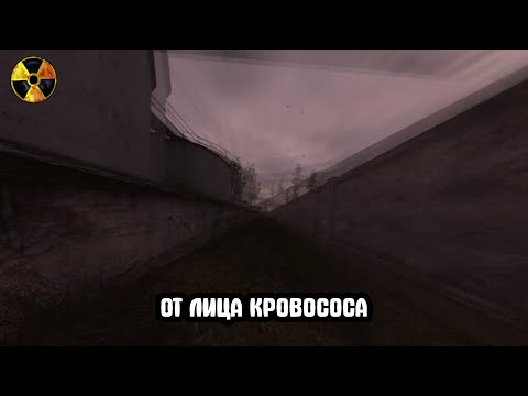 Видео: Мир глазами кровососа.  STALKER Золотой Шар. Завершение #21