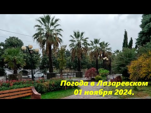 Видео: Погода в Лазаревском! 01 ноября 2024г. 🌴ЛАЗАРЕВСКОЕ СЕГОДНЯ🌴СОЧИ.