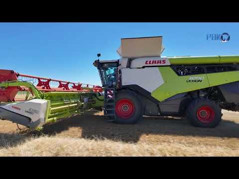 Видео: Начало страды. К уборочной кампании приступили в ПК имени В. И. Кремко