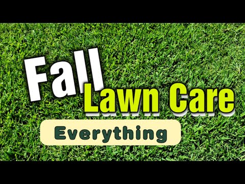 Видео: Все, что вам нужно знать об уходе за газоном осенью