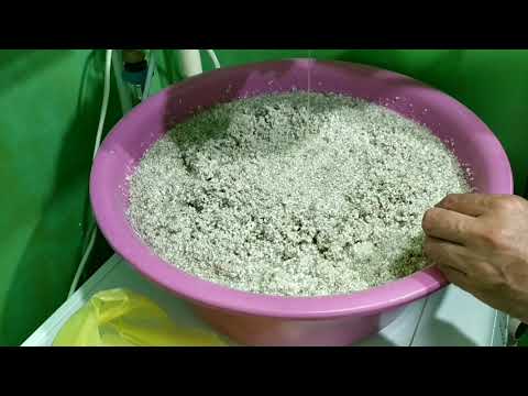 Видео: Перлит для насекомоядных растений? Как вымочить? Польза перлита.