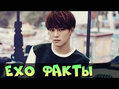 Видео: EXO ИНТЕРЕСНЫЕ ФАКТЫ, БИОГРАФИЯ ♥ ГРУППА EXO