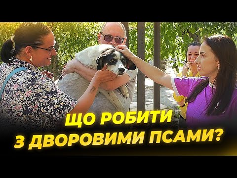 Видео: Як у Дніпрі люди воюють через собак?!