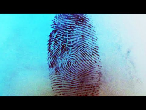 Видео: КАК СНЯТЬ ОТПЕЧАТКИ ПАЛЬЦЕВ..!? 🔎