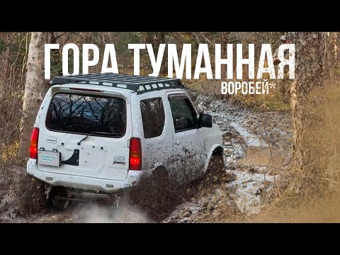 Видео: JIMNY ИЛИ НИВА? | ГОРА ТУМАННАЯ | ГОРА ВОРОБЕЙ