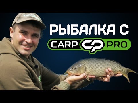 Видео: Рыбалка с Carp Pro! Фидерная рыбалка на крупного карася и карпа!