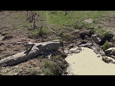 Видео: Събуждане на Изворно място и природен гьол.