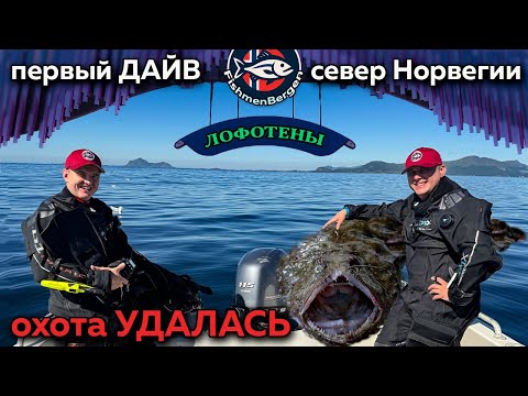 Видео: Изучаем северные воды| Первые впечатления| Лофотенские острова, Норвегия| Каменки, Морской черт