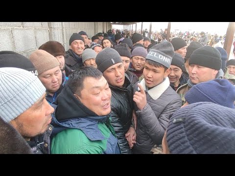 Видео: Базар-Коргон ат базары.
