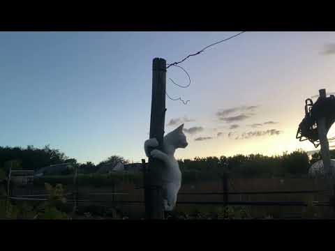 Видео: Обычный день.😊