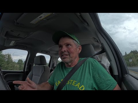 Видео: 40 часов, 40 поросят