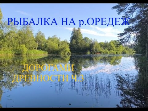 Видео: Рыбалка на реке Оредеж! Дорогами древности ч3! 2024 #рыбалка #рыбалканаспиннинг