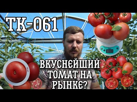 Видео: Самый вкусный на рынке? Обзор нового гибрида томата!