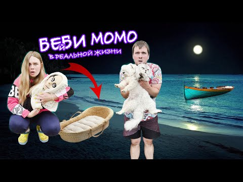 Видео: БЕЙБИ МОМО В РЕАЛЬНОЙ ЖИЗНИ | СПАСЛИ ДЕТЁНЫША МОМО С КОТОМ И СОБАКОЙ