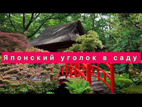 Видео: Как создать японский уголок у себя в саду