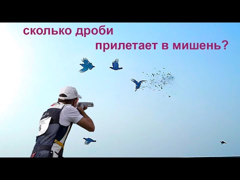 Видео: Дробь и мишень: очевидная невероятность динамических систем