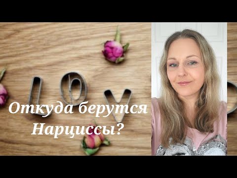 Видео: Откуда берутся Нарциссы? @schastie_esc