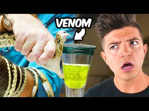 Видео: *САМАЯ СТРАННАЯ* работа, которую вы ДЕЙСТВИТЕЛЬНО можете получить!