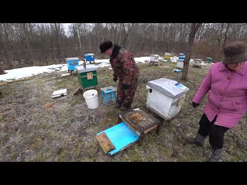 Видео: Срочная работа на пасеке в начале марта