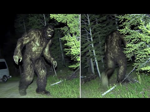 Видео: Нападение БИГФУТА на Автофургон в  Орегоне. Семья ЧУДОМ осталась живой....