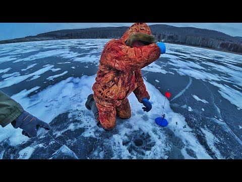 Видео: ЗЛЫЕ ЩУКИ РВУТ ПОВОДКИ! СРАБОТОК МНОГО! рыбалка на жерлицы первый лед 2022 2023