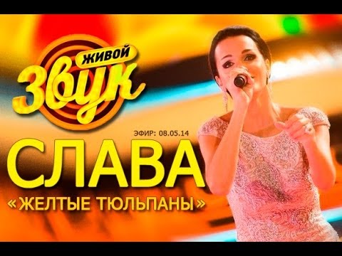 Видео: Слава - Желтые тюльпаны ( шоу "Живой звук" , 08.05.14)