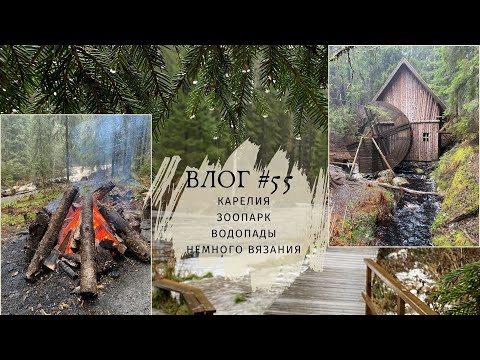 Видео: ВЛОГ Travel and Knit / Карелия / Зоопарк / Долина водопадов