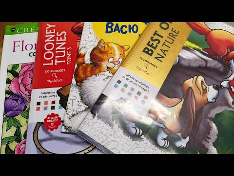 Видео: Итоги месяца. Раскрасила за октябрь 2025