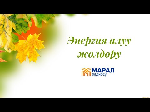 Видео: Энергия алуу жолдору. Марал радиосу.