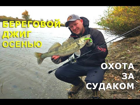 Видео: Джиг с берега осенью. Охотимся на судака!