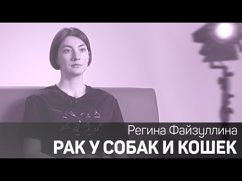 Видео: Рак у собак и кошек