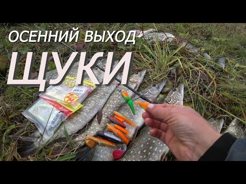 Видео: ОСЕННИЙ ЖОР! ПОДОБРАЛИ ПРИМАНКИ И ЛОВИЛИ ВЕСЬ ДЕНЬ! Ловля щуки на ДЖИГ